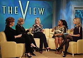 TheView2010_Promo01.jpg